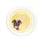 FidOVet Gelato olasz banán ízű kutyafagyi 40 g