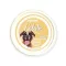 FidOVet Gelato olasz ananász ízű kutyafagyi 40 g