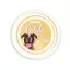 FidOVet Gelato olasz ananász ízű kutyafagyi 40 g