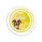 FidOVet Gelato olasz almás ízű  kutyafagyi 40 g