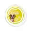 FidOVet Gelato olasz almás ízű  kutyafagyi 40 g