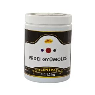Erdei gyümölcs fagylaltpaszta koncentrátum  m-GEL 1,2 kg