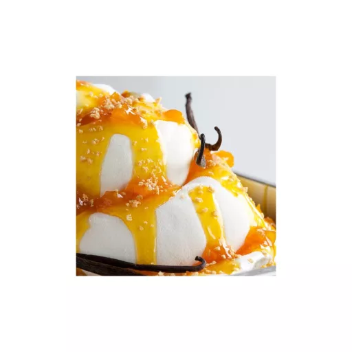 Joygelato Joyfruit tropical fagylalt variegátó 3,5 kg